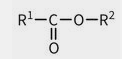 <p>Esters are the result of a hydroxyl and carboxylic acid reacting with one another. Esters are commonly found in many lipids</p>