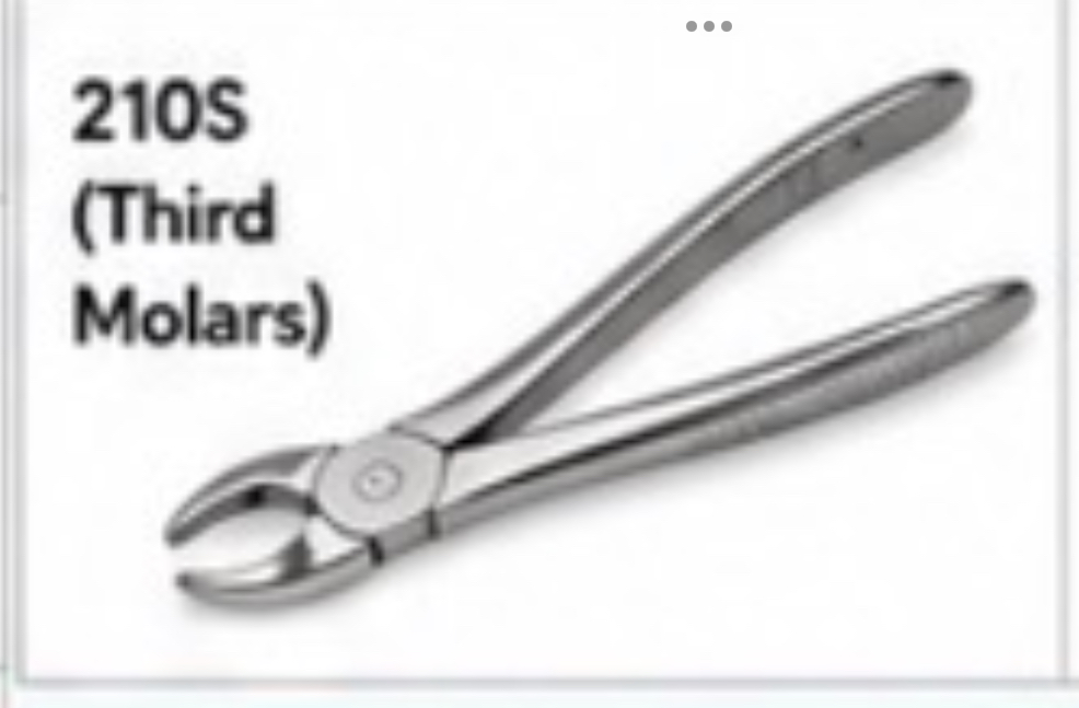 <p>210S Forceps</p>