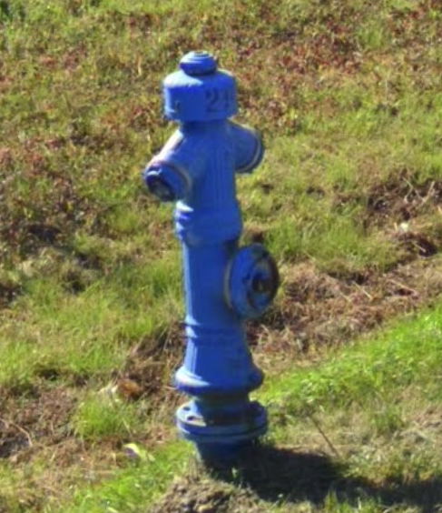 <p>Blue Hydrant</p>