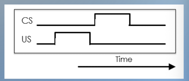 <ul><li><p>US presented first and then the CS</p></li><li><p>results in very little learning </p></li><li><p>usually accidental </p></li><li><p>e.g. food presented before the bell </p></li></ul><p></p>