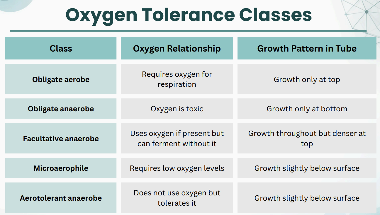 <p>Oxygen Tolerance Classes</p>