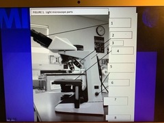 <p>what is 1 ( Lens located in eye piece with 15x magnification)</p>