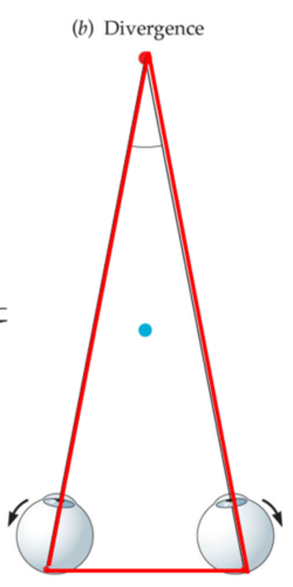 <p>Ability of the two eyes to turn outward; reduces the disparity to the feature to (near) zero. (binocular but not stereo)</p>