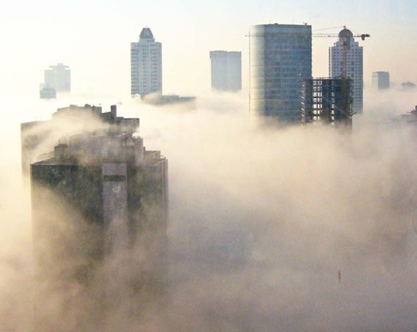 <p>It's foggy, it is going to be cloudy</p>