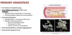 <p>they change shape and secretory granules: </p><p>-ADP,</p><p>-Thromboxane A are released, promoting platelet recruitment and aggregation</p>