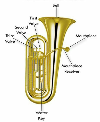 <p>The largest and lowest pitched brass instrument in the orchestra</p>