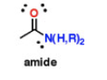 <p>amide</p>