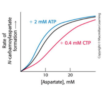 <p>Bind to the T form of an allosteric enzyme and stabilize it</p><ul><li><p>Increased concentration of T, decreasing the likelihood of an R binding to an S</p></li><li><p>Raise the threshold concentration of substrate needed for activity</p></li><li><p>Red in the picture</p></li></ul><p></p>