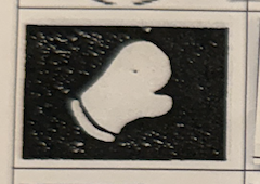 term image