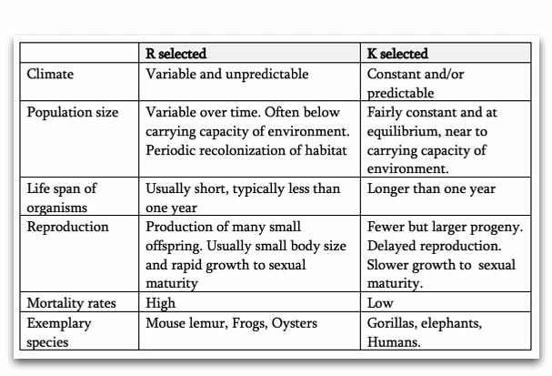 <p></p><p><span data-name="rabbit" data-type="emoji">🐰</span><strong> Fast (r-selected)</strong></p><ul><li><p>Vroege reproductie</p></li><li><p>Veel nakomelingen</p></li><li><p>Weinig investering per kind</p></li><li><p>Korte levensduur</p></li><li><p>hoge mortaliteit</p></li><li><p>populatie grootte - varieert </p></li><li><p>klimaat - varieert</p></li></ul><p><span data-name="point_right" data-type="emoji">👉</span> Ontstaat in:</p><ul><li><p>Onveilige / onvoorspelbare omgevingen</p></li></ul><p>&nbsp;</p><p><span data-name="turtle" data-type="emoji">🐢</span><strong> Slow (K-selected)</strong></p><ul><li><p>Late reproductie</p></li><li><p>Weinig kinderen</p></li><li><p>Veel investering per kind</p></li><li><p>Lange levensduur</p></li><li><p>lage mortaliteit </p></li><li><p>populatie grootte - constant</p></li><li><p>climaat - stabiel </p></li></ul><p><span data-name="point_right" data-type="emoji">👉</span> Ontstaat in:</p><ul><li><p>Veilige / stabiele omgevingen</p></li></ul><p>&nbsp;</p><p><span data-name="bulb" data-type="emoji">💡</span><strong> Belangrijk inzicht:</strong></p><p>Het is een <strong>continuüm (fast </strong><span data-name="left_right_arrow" data-type="emoji">↔</span><strong> slow)</strong>, geen zwart-wit categorie</p><p>zijn ook dieren die ertussen liggen bijv schildpaden</p><p></p><p>opossoms ; vertonen slower life histories op eilanden met minder predatoren dan eilanden met veel nakomelingen</p><p>tasmanian : faster, omdat latere leeftijd kinderen ; mortaliteit verhoogt </p><p>molrat : verouderen niet door laatste stukje dna vervangen </p><p>chernobyl kernramp wolven nu ; zelden kanker </p><p></p>