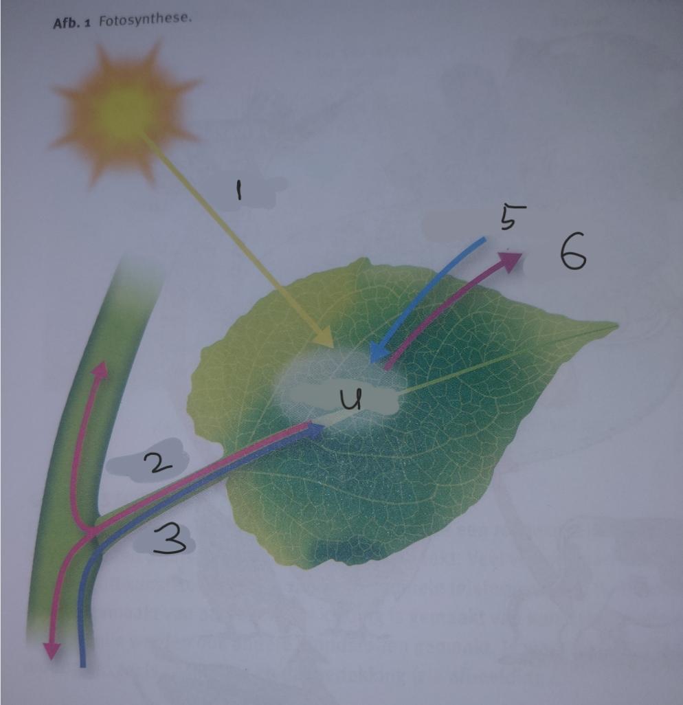 <p>3</p>