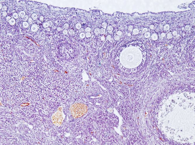 <p>Cơ quan gì ?</p>