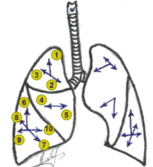 <p>Identify the structure</p>