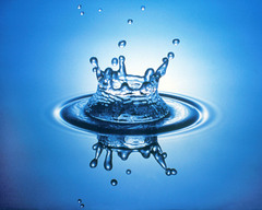 <p>a water</p>