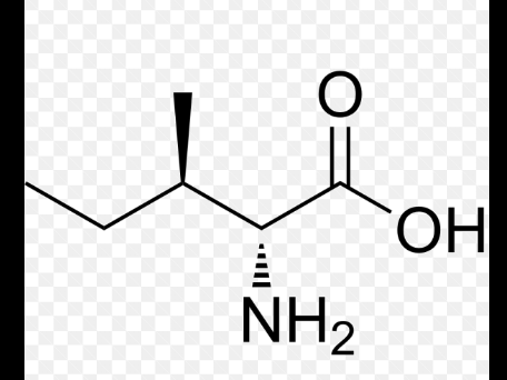 <p>name this amino acid</p>