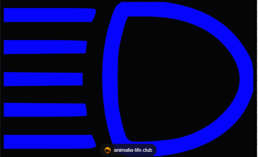 <p>Flashing signal with full-beam headlights</p>