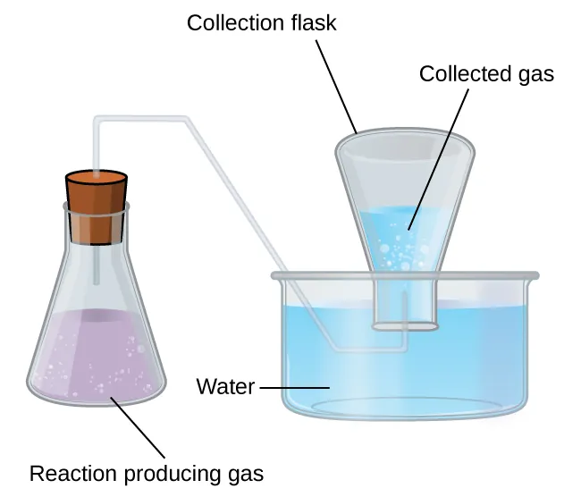<p><span>When a gas is collected over water, the gas trapped in the collection flask:</span></p><p>A. Has a pressure equal to only the pressure of the gas produced by the reaction.</p><p>B. Always has a pressure greater than atmospheric pressure.</p><p>C. Is a mixture of the gas produced and water vapor, and its total pressure equals the atmospheric pressure.</p><p>D. Does not contain any water vapor if the flask is sealed.</p>
