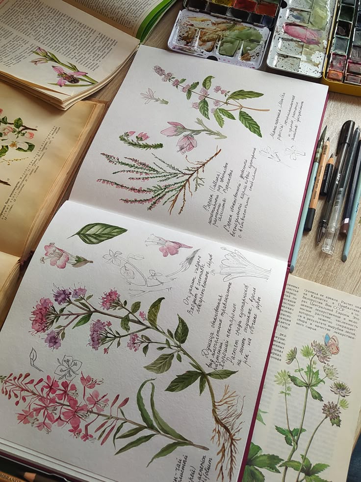 <p>The professor of … spent the semester cataloging the rare medicinal properties of alpine flora. (nghiên cứu về thực vật)</p>