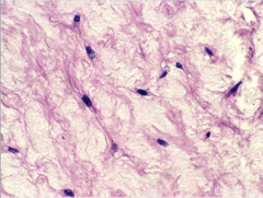 <p>What does this image show?</p>
