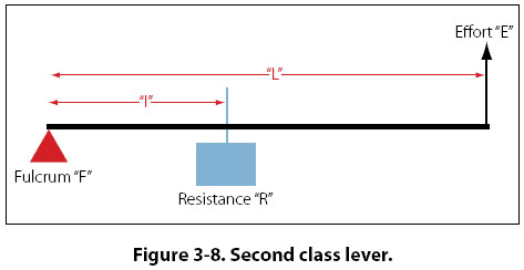 <p>like a seesaw</p><p><mark data-color="yellow" style="background-color: yellow; color: inherit;">L = effort arm</mark></p><p><mark data-color="yellow" style="background-color: yellow; color: inherit;">I = resistance arm</mark></p><p><mark data-color="yellow" style="background-color: yellow; color: inherit;">R = resistance</mark></p><p><mark data-color="yellow" style="background-color: yellow; color: inherit;">E = effort </mark></p>