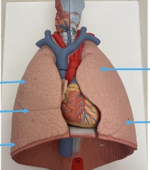 <p>name the part</p>