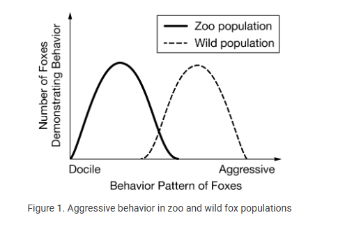 <p>Over many years of a breeding program, a zoo has an established population of foxes that is well adapted for living in captivity. A representative sample of wild foxes from the neighboring forest was used to start the zoo population. A study was conducted to compare the behavior of the zoo fox population with the wild fox population in the neighboring forest. The behaviors of equal numbers of foxes from each population were assessed. Each fox’s behavior was scored on a continuum from docile to aggressive based on its interaction with a trained behaviorist. The data is shown in Figure 1.</p><p><br>The phenotypic variation in behavior between the two populations can best be described as resulting from</p><p><strong>A) </strong>s-xual selection</p><p><strong>B) </strong>natural selection</p><p><strong>C) </strong>artificial selection</p><p><strong>D) </strong>genetic drift</p>