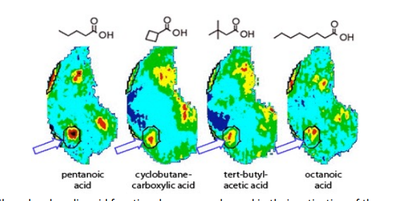 <p>if more similar chemicals then lights up same areas </p>