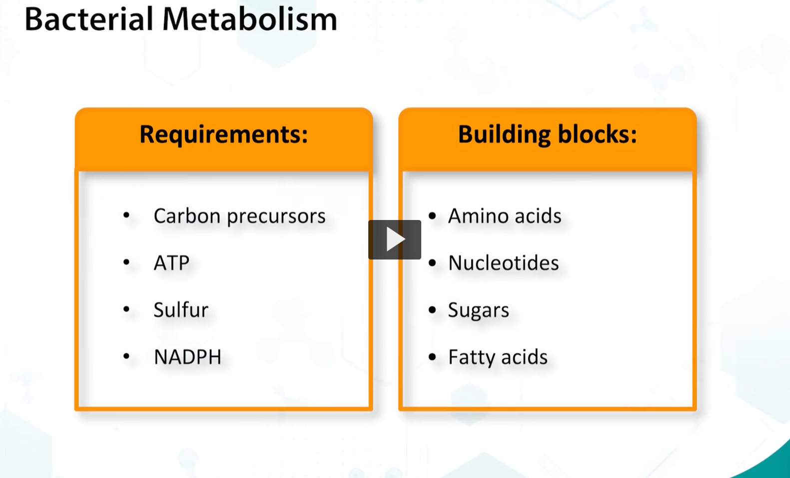 <p>Before utilizing sugars in the various metabolic pathways, these (referring to the diagram), must be transported into the cell. For that (transportation), bacteria is able to use various mechanisms</p>