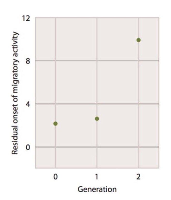<p>Pulido et al. 2001</p><p>Measured time of displayed migratory restlessness in captive German Black-cap</p><p>Restlessness way delayed by 7.65 days in the second generation</p><p>Heritability of migration instinct was determined to be .72</p><p>→ German black-caps demonstrate a high degree of inherited migration instinct in the absence of migrational cues/ability to migrate</p>