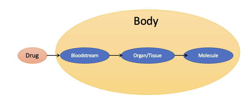 <p>The scientific study of <strong>what the body does to medication</strong>. </p>