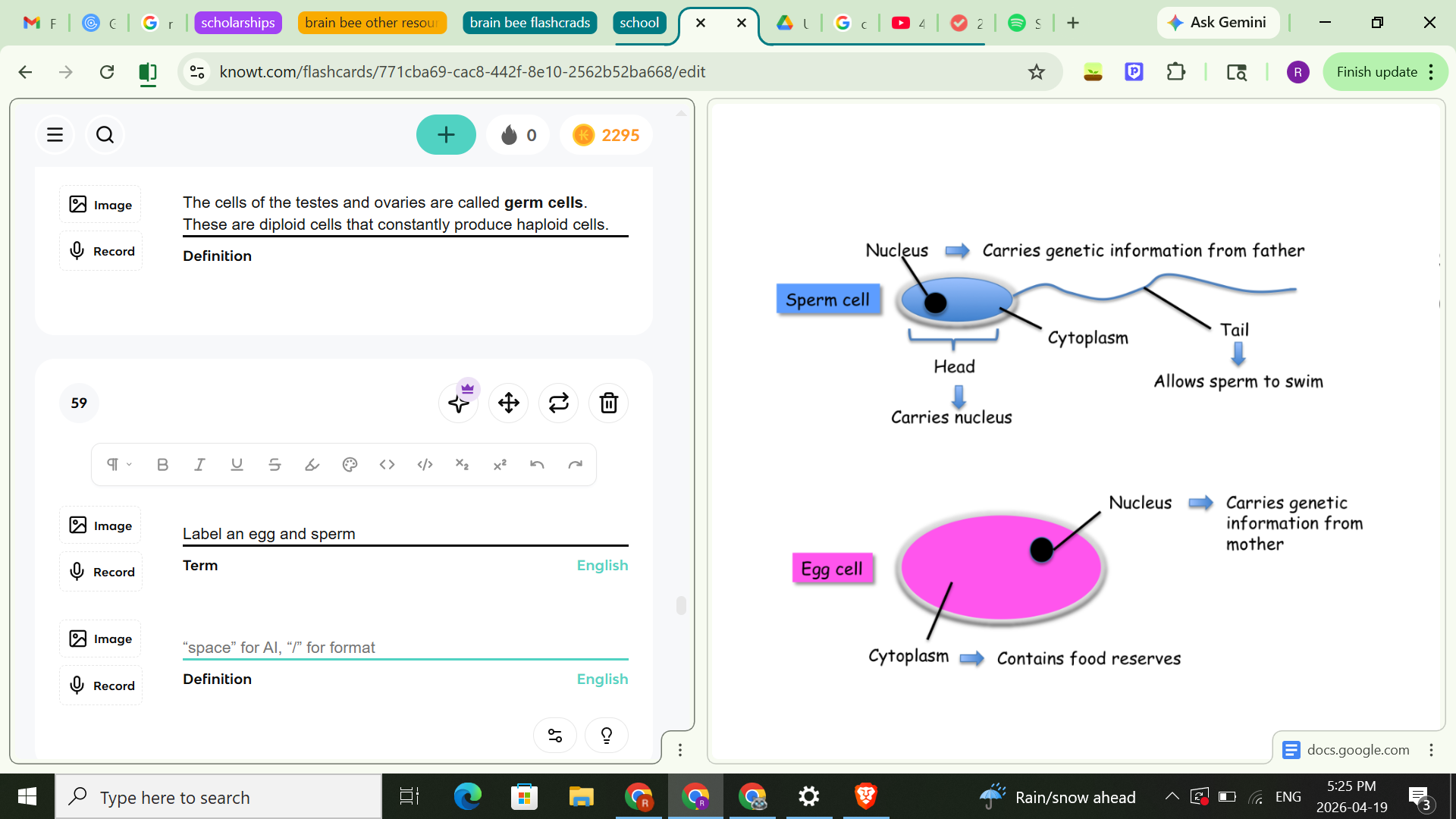 knowt flashcard image