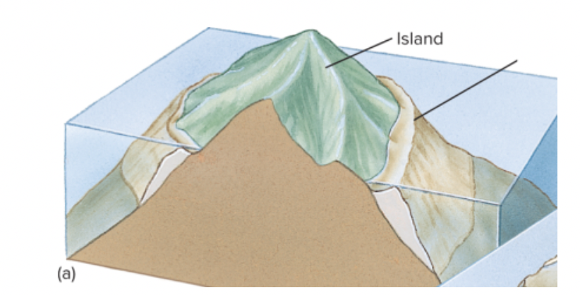 <p>surrounding/offshore from an island with a small/no lagoon and a long reef flat</p>