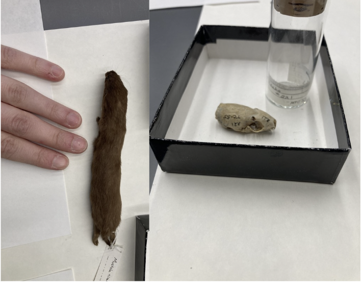 <p>What is this?</p>