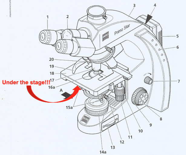<p>What part of the microscope is this + what does it control?</p>
