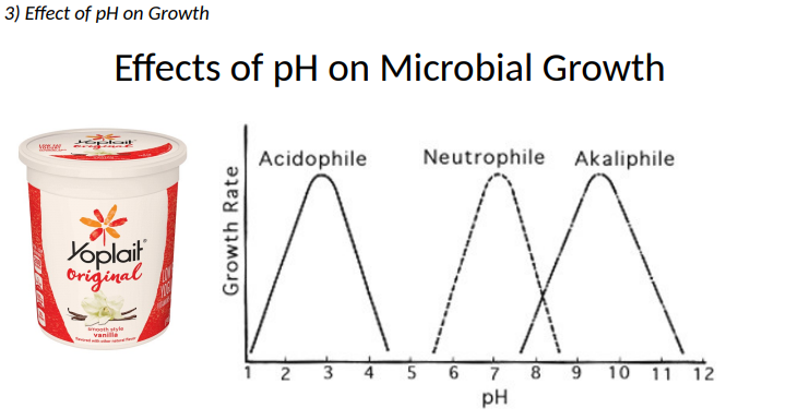 <p><strong>Effects of pH on Microbial Growth: Molecular adaptations related to pH</strong>: Changes in what to increase stability?</p>