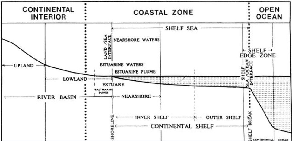<ul><li><p>shallow marine environments along the edge of continents </p></li><li><p>stretches from the shoreline to the continental shelf </p><ul><li><p>there is a sharp drop in depth (open ocean)</p></li></ul></li><li><p>known for extremely high biodiversity </p><ul><li><p>high light, high nutrients </p></li><li><p>ex: coral reefs</p></li></ul></li></ul><p></p>