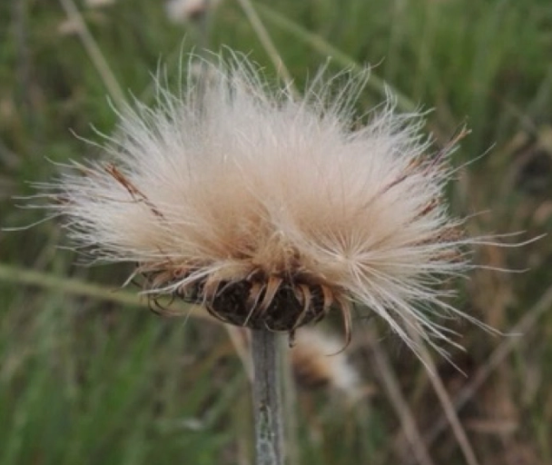 <p>g</p>
