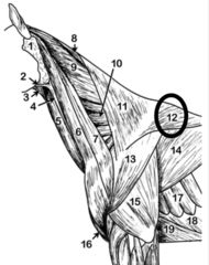 <p>DONT HAVE TO ID</p>