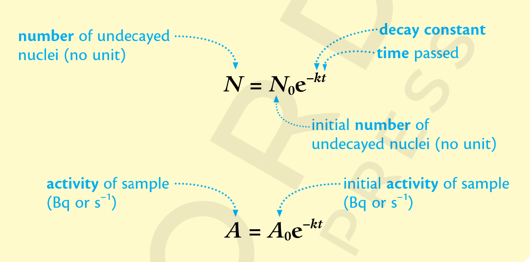 <p>The number of undecayed nuclei and activity decrease exponentially with time. </p>