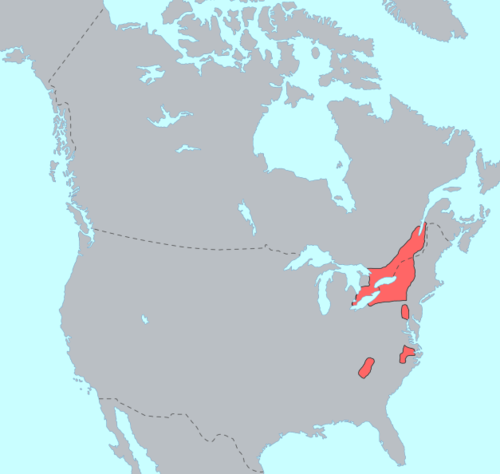 <p>North America.</p>