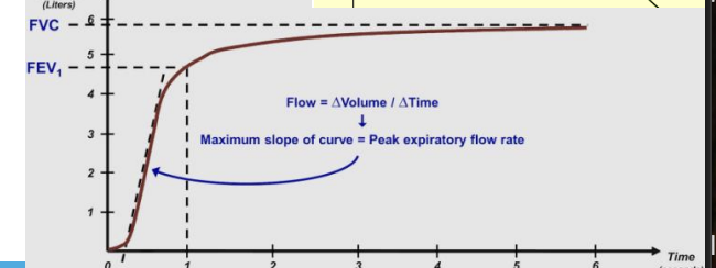 <p>forced expiratory volume in 1 second </p>