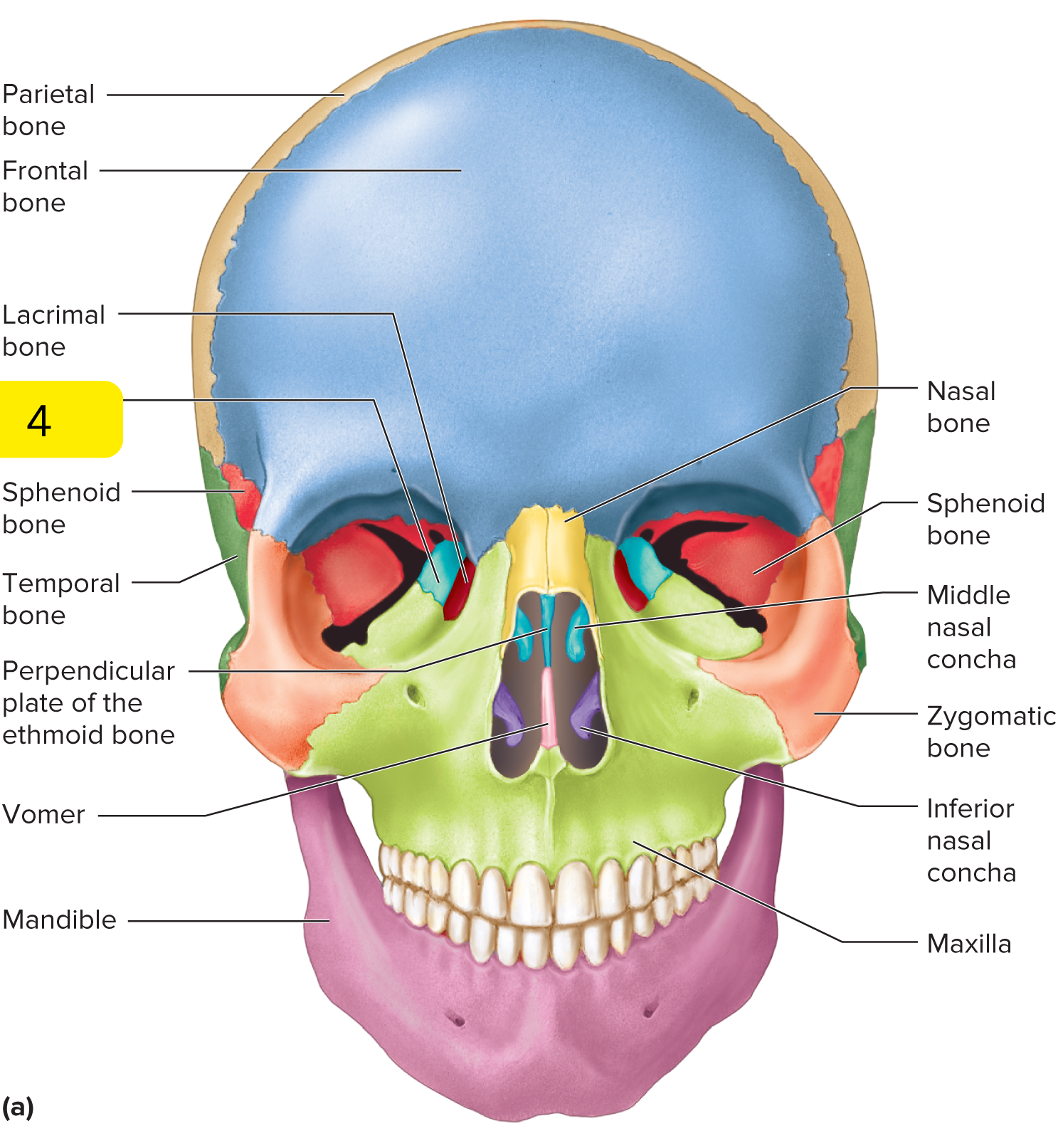 <p>What’s #4?</p>