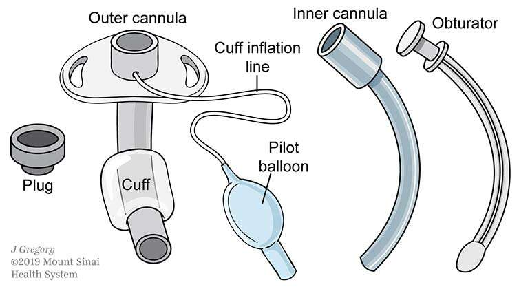 <p>what type of tracheostomy tube?</p>