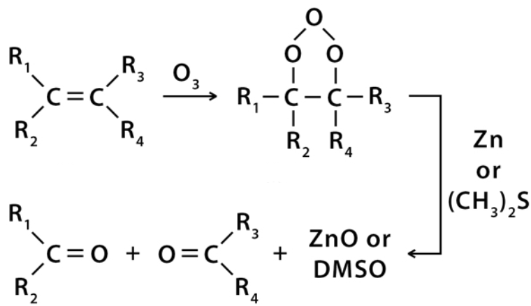 <p>Identify the mechanism</p>
