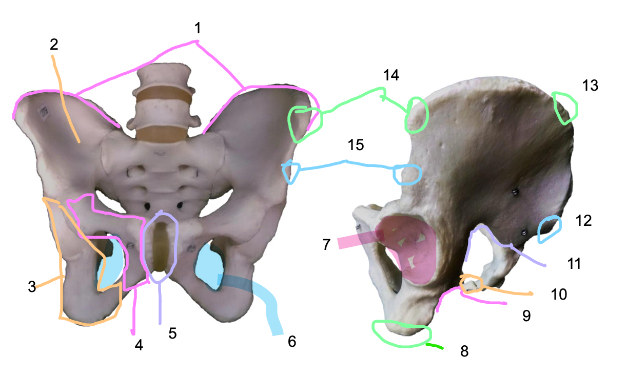 <p>Structure 12</p>