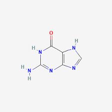 <p>purine</p>