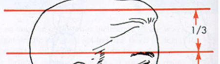 <p>Trichion (hairline) to glabella</p>