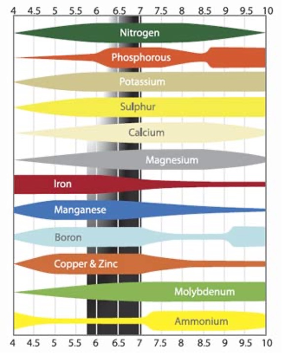 <p>&nbsp;</p><p class="MsoNormal"><strong>Nitrogen cycle:</strong></p><p class="MsoNormal">&nbsp;Key nutrients for life:</p>
