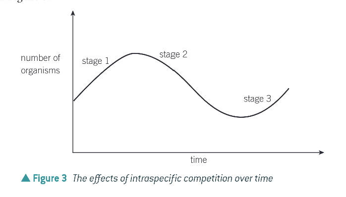 <p>Explanation of the effects of intraspecific competition on a population graph stages</p>