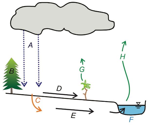 <p>What does B on the diagram represent?</p>